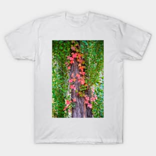 Seven Falls Flora Study 9 T-Shirt